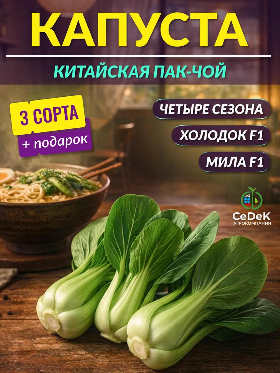 Семена капусты китайской Пак-чой