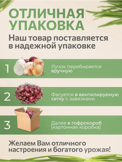 ЛУКОВОЕ ПОЛЕ Лук севок на посадку Робин 0.5кг, 500 г, фото 2