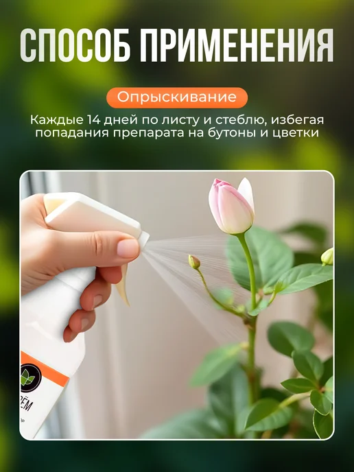 Чудозем Спрей для комнатных растений и цветов экстракт хвои, вариант, фото 6