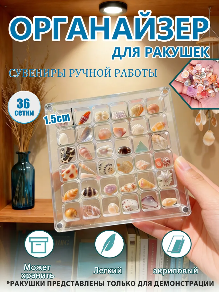 Органайзер для ракушек и камней прозрачный