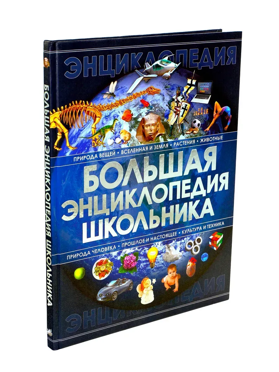 Большая энциклопедия школьника