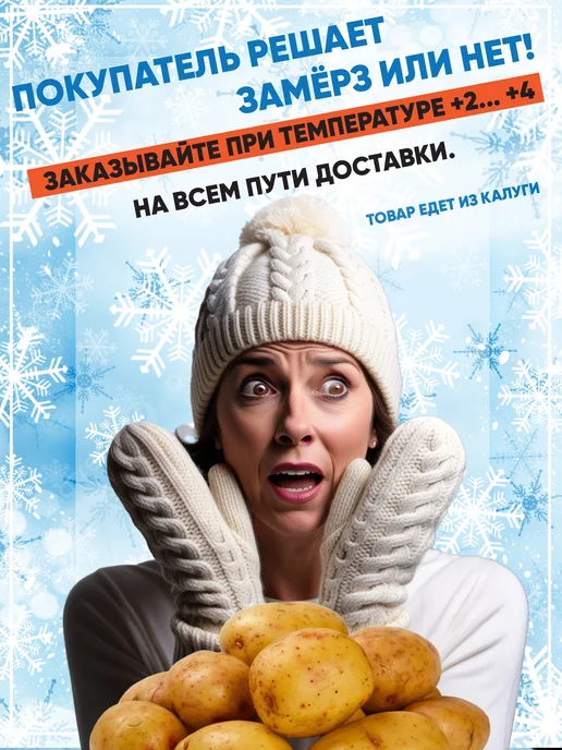 Дикий картофель Еловое Яблоко, Pink Fir Apple, 400 гр, 400 г, фото 4