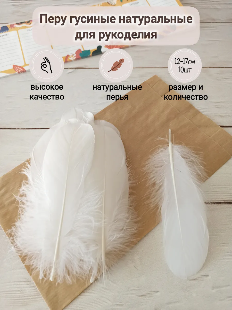 Перья гусиные для рукоделия и творчества 12-17см 10шт