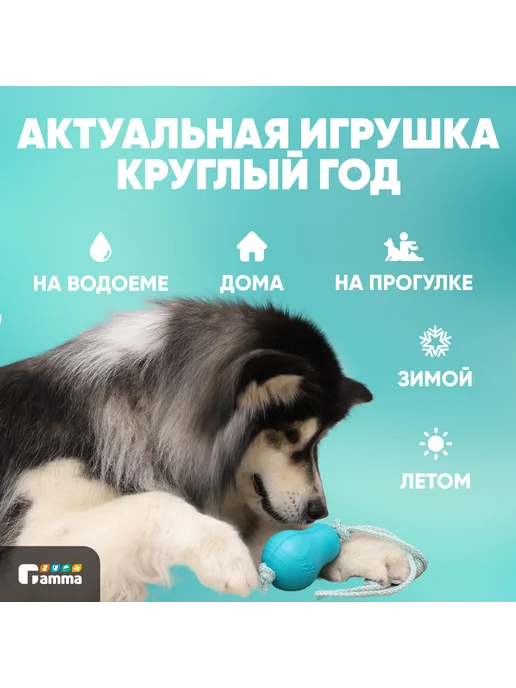 GAMMA Игрушка для собак ГАВ ГАМЫЧ Груша с веревкой, 10*8 см, 10x8 см, фото 6