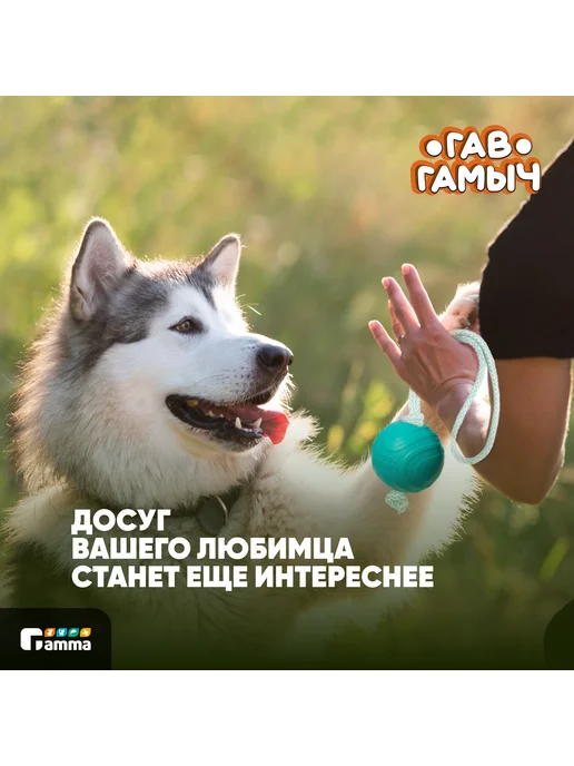 GAMMA Игрушка для собак ГАВ ГАМЫЧ Мячик с веревкой, 7, 5 см, зеленый, фото 5