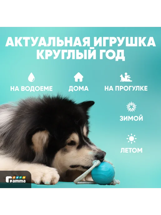 GAMMA Игрушка для собак ГАВ ГАМЫЧ Мячик с веревкой, 7, 5 см, зеленый, фото 6