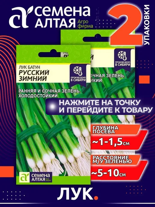 Семена Алтая Семена Укропа для огорода ранний, балкона, подоконника, белый, фото 3