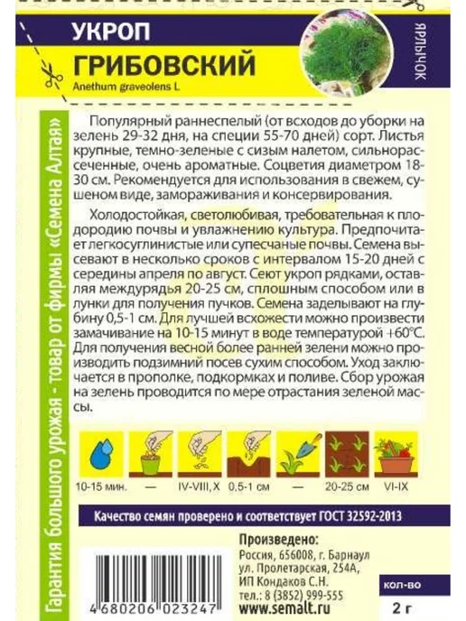 Семена Алтая Семена Укропа для огорода ранний, балкона, подоконника, белый, фото 6