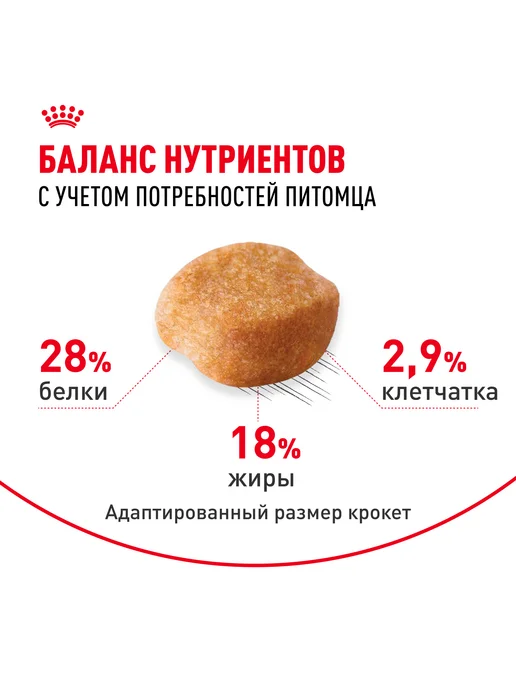 Сухой корм Royal canin Yorkshire Terrier для собак, взрослые, 3 кг, фото 2