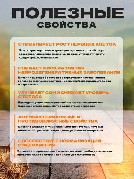 Грибы СИБИРИ Ежовик гребенчатый плодовое тело 100г, 100 г, фото 3