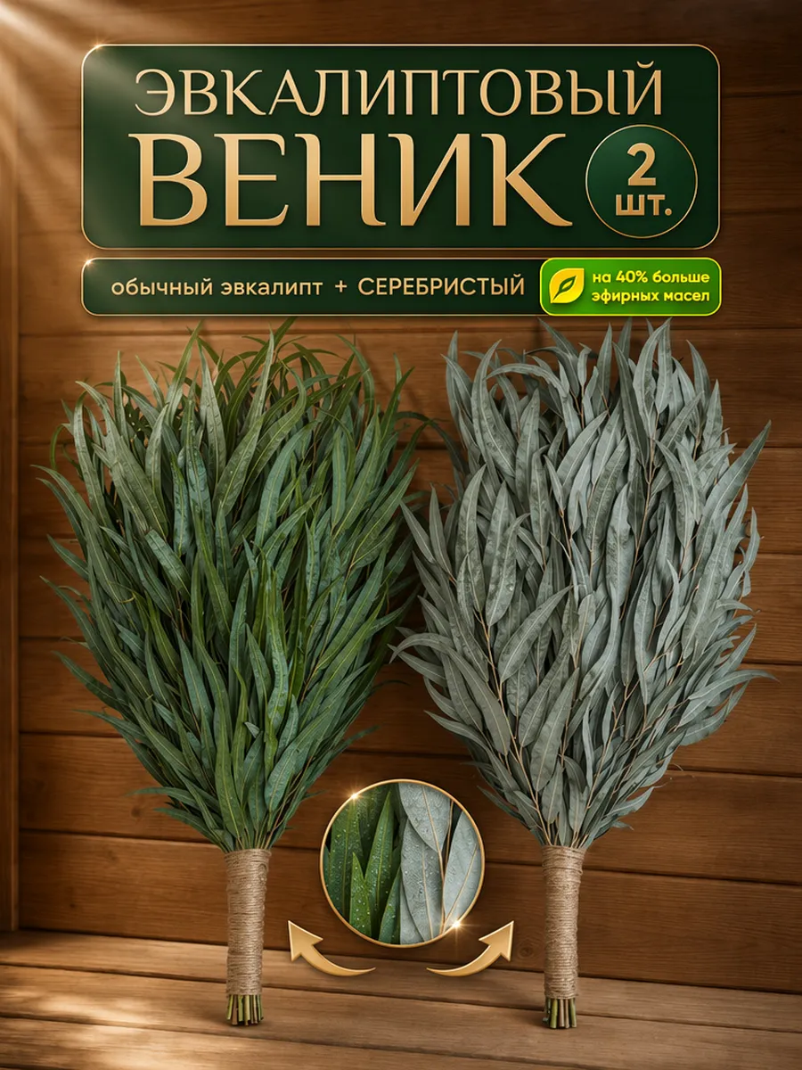 Эвкалиптовый веник серебристый для бани и сауны