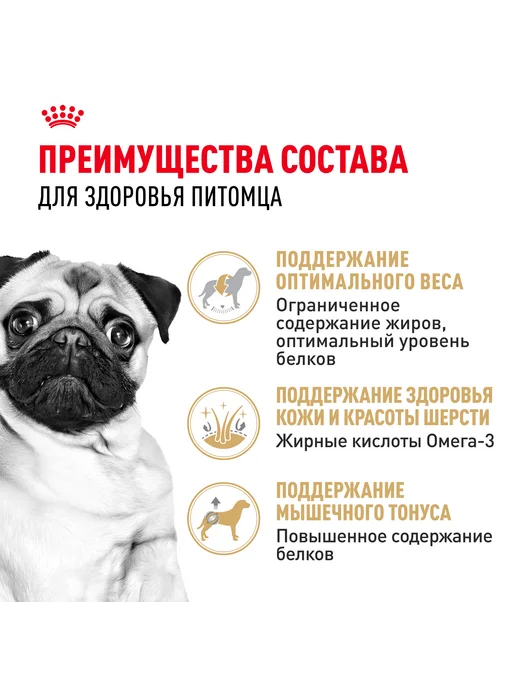 Сухой корм Royal canin Pug Мопс для собак, 0,5 кг, фото 3