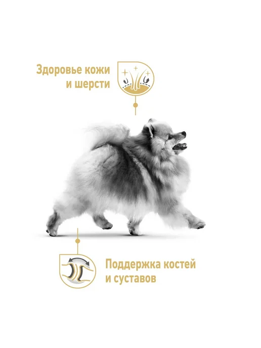 Сухой корм Royal canin Pomeranian Пом.Шпиц для собак, взрослые, 0,5 кг, фото 2