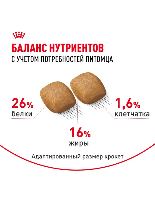 Сухой корм Royal canin Pomeranian Пом.Шпиц для собак, взрослые, 0,5 кг, фото 4