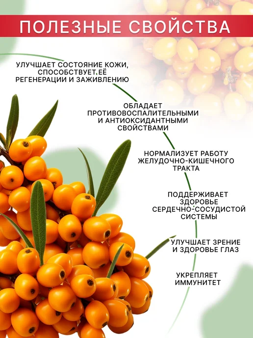 Fruits29 Пастила из облепихи натуральная без сахара, вариант, фото 4
