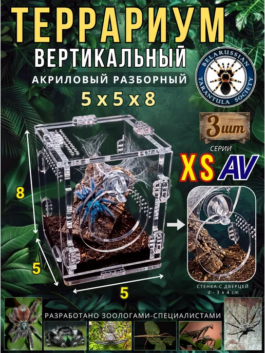 BTS_BY Террариум 5х5х8xs-av*3шт, 5x5, 3 шт