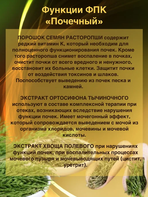 ПАНТИКА Почечный комплекс для почек, вариант, фото 3