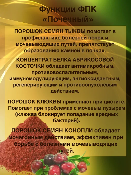 ПАНТИКА Почечный комплекс для почек, вариант, фото 4