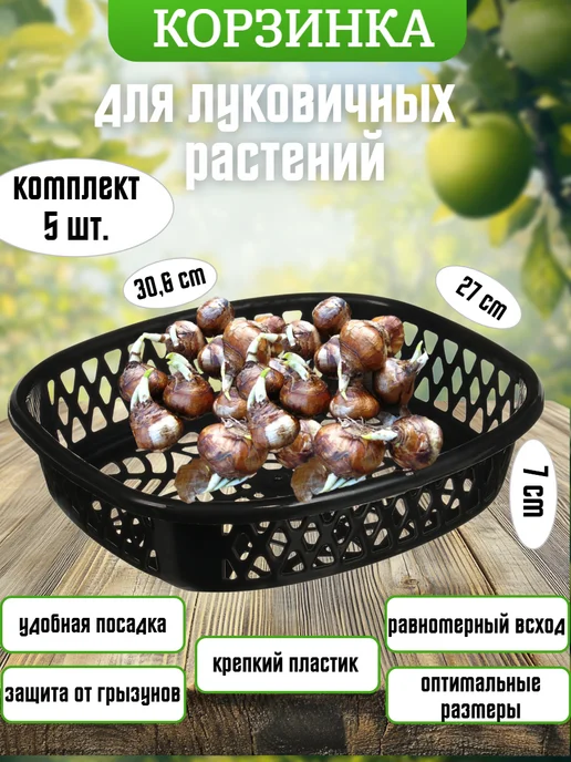 Корзинка для луковичных растений 5 шт, 5 шт