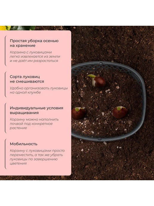 Корзинка для луковичных растений 5 шт, 5 шт, фото 7