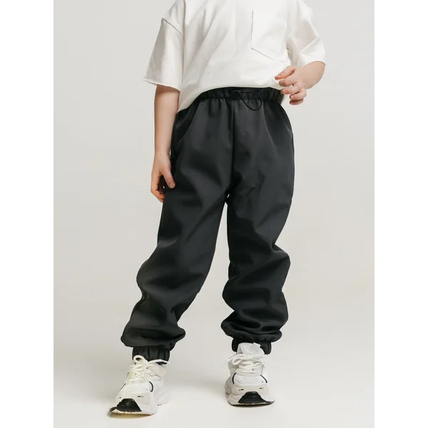 Штаны непромокаемые демисезонные софтшелл