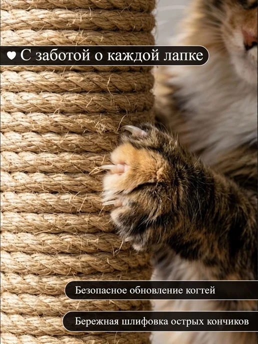 Kogtik Когтеточка для кошки напольная, бежевый, фото 4