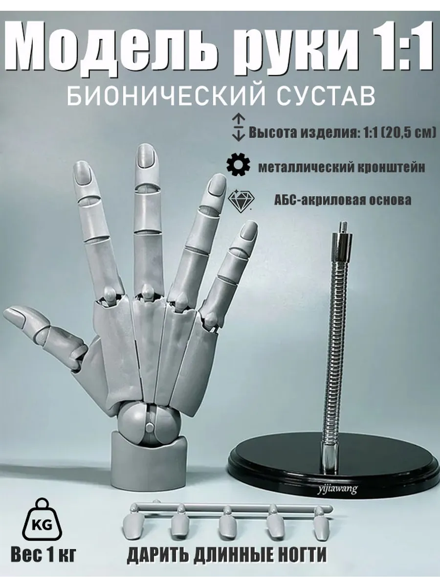 Модель подвижного манекена для правой руки.
