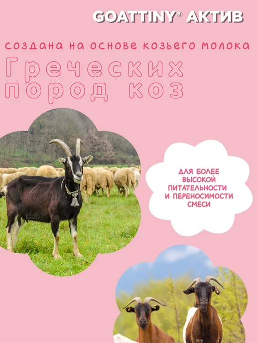 GOATTINY Смесь низколактозная Актив на козьем молоке, 350 г, 350 г, фото 6