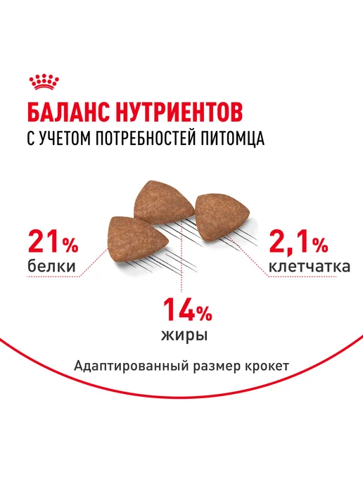 Сухой корм Royal canin Indoor для собак, мелкие, 3 кг, фото 3