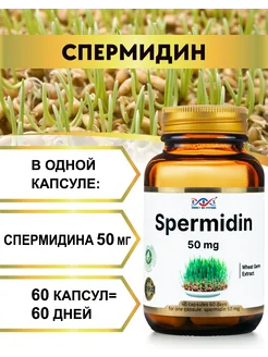 Спермидин 50 мг Энерго Био Системы 355791929 купить за 1 197 ₽ в интернет‑магазине Wildberries