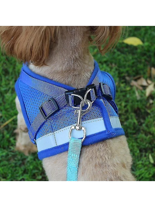 Пояс для кошек YJ04, антидемпинговый Р. M Цв. Blue, синий, фото 2