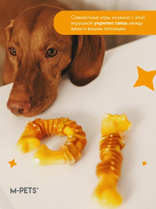 M-PETS Игрушка для собак Карнивор кость, вкус бекона, желтая, желтый, фото 5