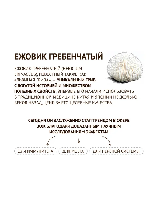 TRAWA Клетчатка пищевая из семян с ежовиком гребенчатым 500 г, 500 г, фото 2