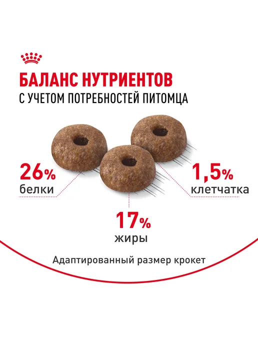Сухой корм Royal canin Dermacomfort для собак, мелкие, 3 кг, фото 2