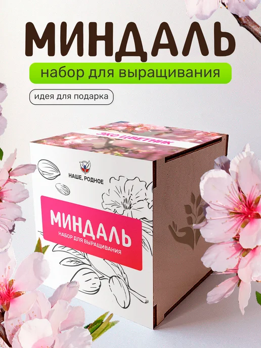 Сад на окне Миндальное дерево Набор для выращивания растений, вариант
