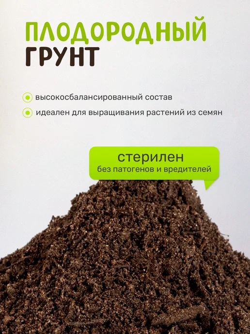 Сад на окне Миндальное дерево Набор для выращивания растений, вариант, фото 5