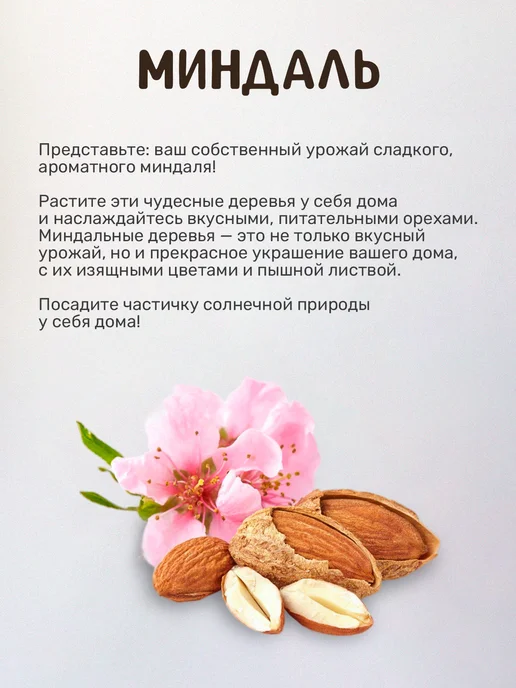 Сад на окне Миндальное дерево Набор для выращивания растений, вариант, фото 7