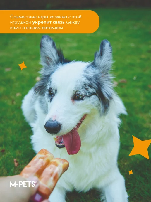 M-PETS Игрушка для собак Карнивор круглая кость вкус бекон, красная, ребрышки бекона, фото 5