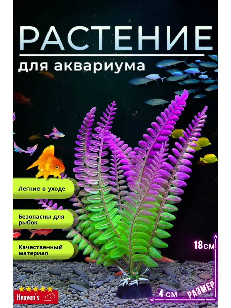 Водоросли в аквариум растение