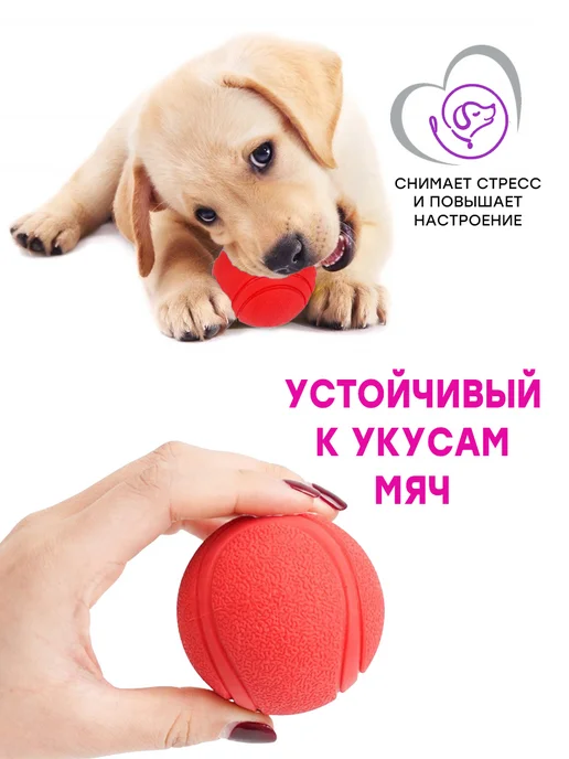 Fan Pets Игрушки для собак средних и крупных пород, для щенков, голубой, фото 4