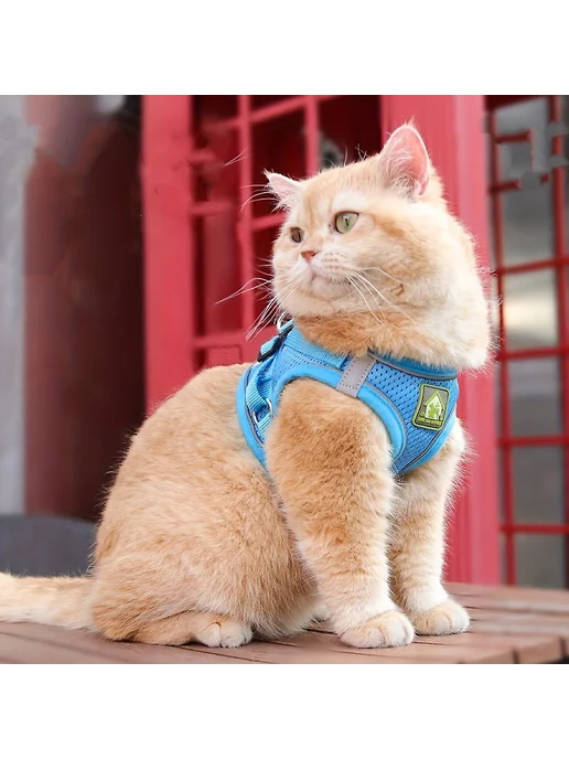 Набор ошейник и поводок для кошек Р. L Цв. Sea Blue, синий, фото 4