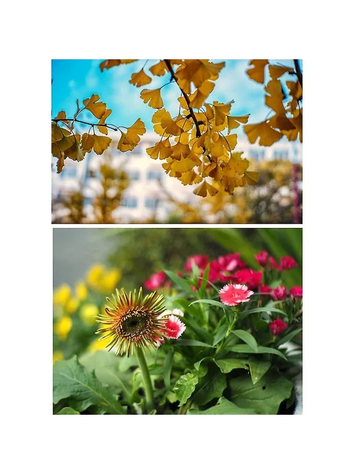 Объектив 35mm F1 6 M4 3 ручной фокус Цв Черный, черный, фото 4