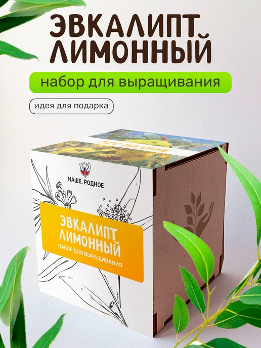 Сад на окне Эвкалипт лимонный Набор для выращивания растений, вариант