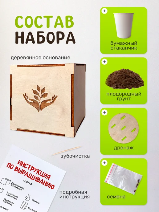 Сад на окне Эвкалипт лимонный Набор для выращивания растений, вариант, фото 3