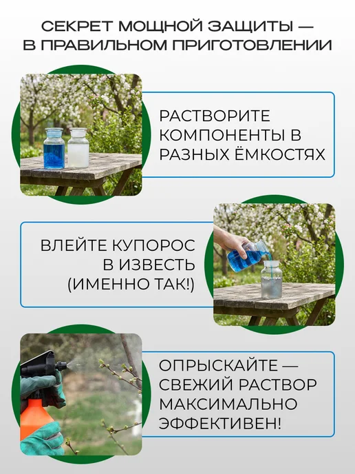 GREEN BELT Средство от фитофторы бордосская смесь для сада 600 гр, 600 г, фото 6