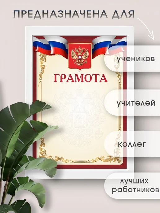 Про Бел Грамота с гербом набор 40 штук, синий, фото 3