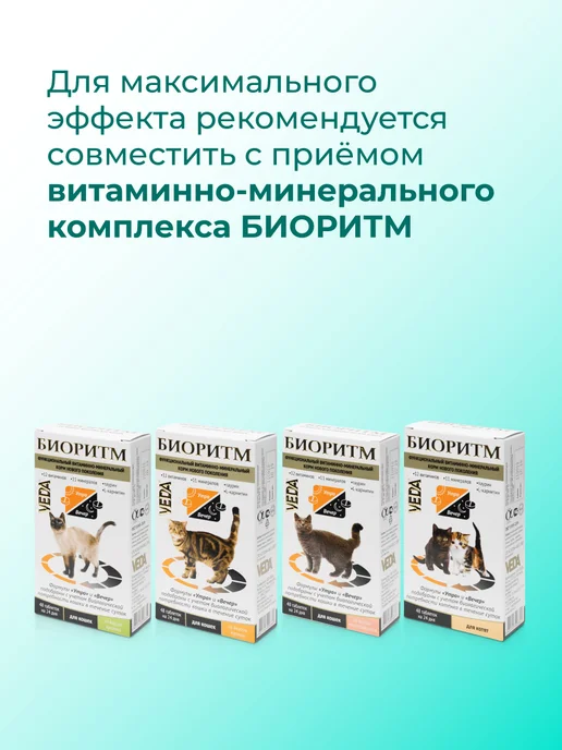 veda Комплекс для костей и зубов кошек Фитомины Форте 200 шт, 200 шт, фото 6