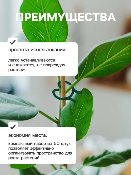 VitoKids Крепления для растений, садовые колышки и скобы, 2 шт, 2 шт, фото 3