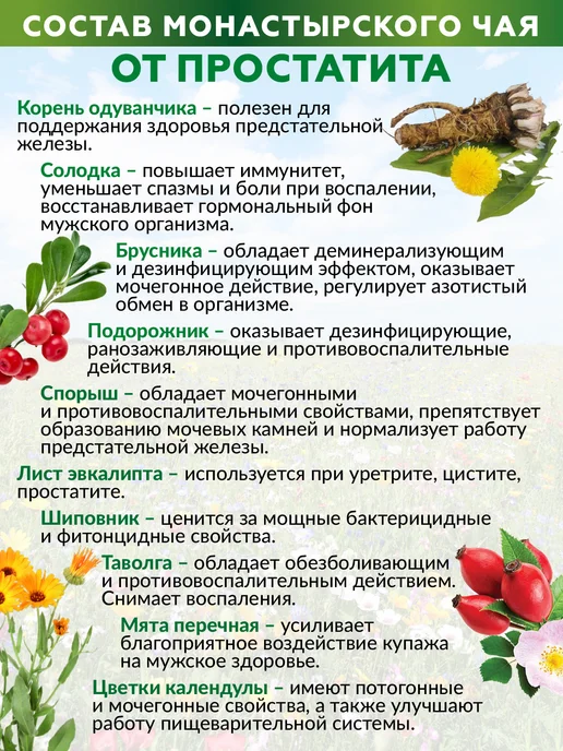 Ненашев Дмитрий Викторович ИП Монастырский чай от простатита для мужчин (травяной сбор), вариант, фото 8