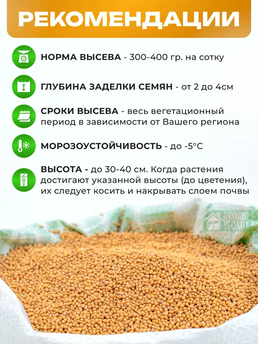 ЗЕЛЕНЫЙ УГОЛОК Семена Горчица 1 кг, 1 кг, фото 2